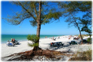 uitgestrekte witte stranden | Fort De Soto